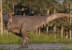 Hallazgo en la Patagonia: encontraron un nuevo dinosaurio carnívoro
