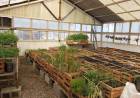 Presos de la penitenciaría local se capacitan en jardinería 