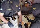 FPA desbarató banda narco en la ciudad, incautó 2600 dosis de estupefacientes y detuvo a 7 personas 