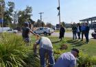 Se colocaron en la ciudad producción de plantines realizadas por el Servicio Penitenciario en San Francisco