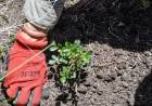 El gobierno provincial presentó el protocolo de acciones para la Restauración Ambiental posfuego