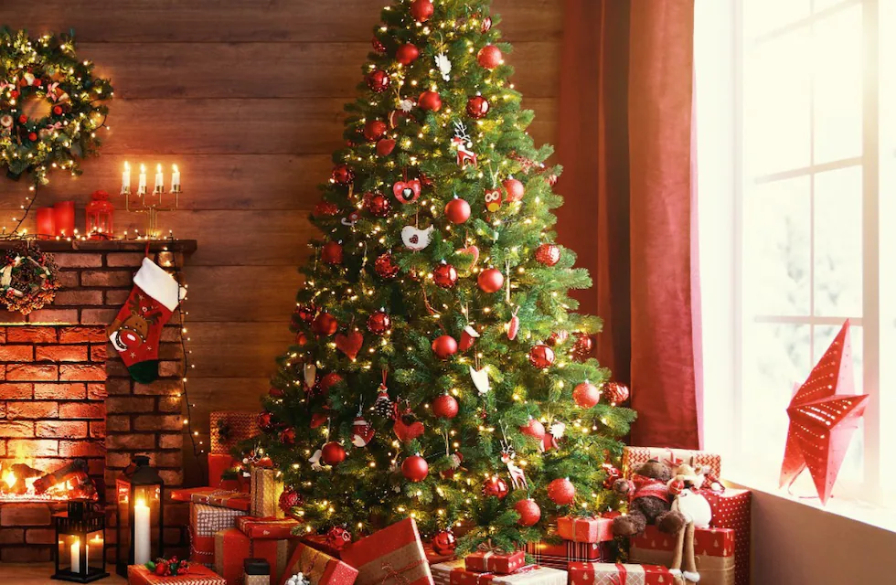 ¿Cuánto cuesta armar el arbolito de Navidad este año?