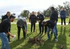 Arbolado Urbano: 40 nuevos ejemplares se plantaron en la costanera norte