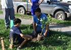 Municipio y el club La Milka plantaron 50 árboles en Loteo Procrear