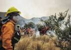 Alerta por riesgo extremo de incendios en varios puntos de la provincia: se esperan fuertes ráfagas de viento 