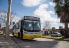 Transporte Urbano: cambio de recorrido por obras