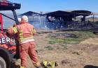 S.M. Laspiur: trágico incendio forestal en  zona rural de  provocó la muerte de 35 terneros
