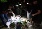 Secuestran marihuana en San Francisco y Frontera: un detenido