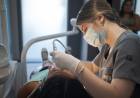 APROSS actualizó aranceles odontológicos y convoca a nuevos prestadores a sumarse a su red