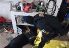 Desbarataron una banda familiar que realizaba delivery de drogas y hay cuatro detenidos