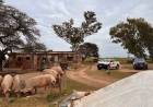 Colonia San Bartolomé: restringen el traslado de unos 200 cerdos por casos de triquinosis en la provincia