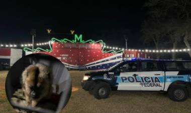 Rescataron a una mona carayá de 18 años en Pozo del Molle: estaba en un circo