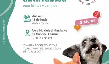 Frontera realiza jornada de vacunación antirrábica  