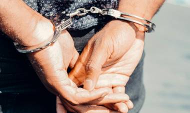 Dos detenidos por robos en la ciudad