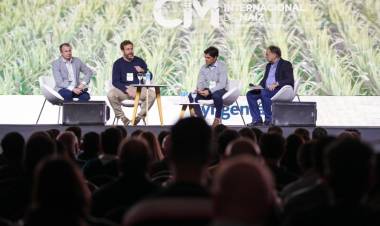 Córdoba vuelve a ser la sede del Congreso Internacional de Maíz