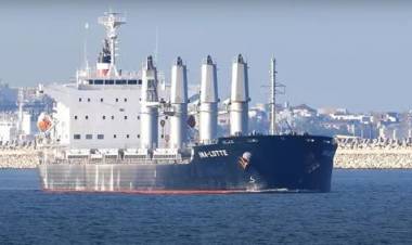 Viruela del mono en Argentina: aislaron a los pasajeros de un buque que venía de Brasil