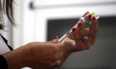 Inicio de la vacunación contra el dengue en Córdoba: notificaciones por Cidi