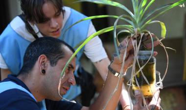 Monitoreo aédico de noviembre: se detectaron larvas de Aedes aegypti en 6 de cada 100 casas visitadas en ciudad de Córdoba 