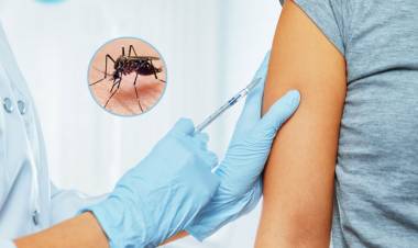 Frontera realiza vacunación masiva contra el dengue