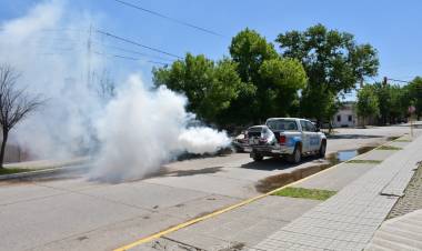 La municipalidad continúa adelante en los trabajos contra el dengue con herramientas que marcan tendencia a nivel nacional