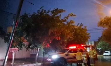 Cayeron 25 mm y los fuertes vientos ocasionaron algunos inconvenientes en la ciudad