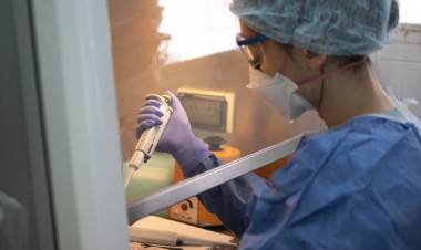 Se confirmaron dos nuevos casos de Viruela de Mono en la provincia