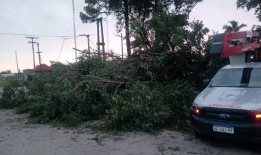 Frontera restablece servicio eléctrico tras la tormenta de año nuevo
