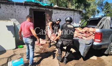 Frontera: Fueron a derribar un búnker, había una faena clandestina y ocupantes intentaron defenderse a los tiros 