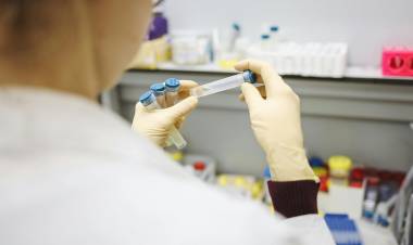 Pfizer y Sinergium invertirán 20 millones de dólares en Argentina para producir una vacuna contra el neumococo