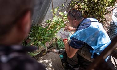 Aplastante caída del dengue en Córdoba: 3.394 casos este año contra 129.274 del 2024