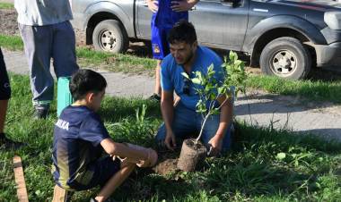 Municipio y el club La Milka plantaron 50 árboles en Loteo Procrear