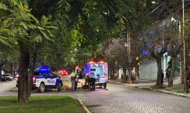 Una motociclista herida al impactar con un perro en barrio Catedral
