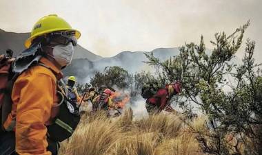 Alerta por riesgo extremo de incendios en varios puntos de la provincia: se esperan fuertes ráfagas de viento 