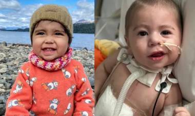 Trasplante inédito en Argentina: Felipe y Luca, la historia que conmovió al país