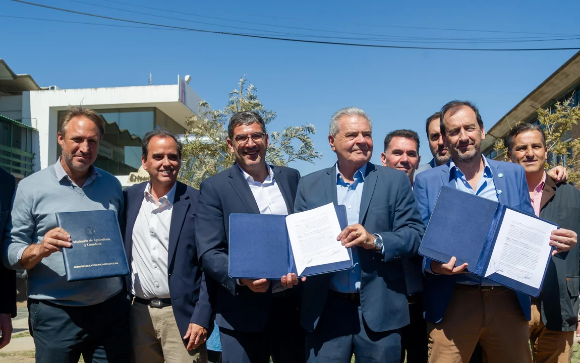 Bancor lanza créditos por $30.000 millones para productores: las líneas