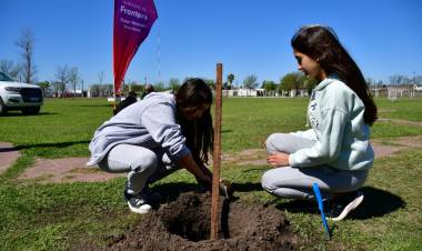San Francisco colaboró en la forestación del Polideportivo de Frontera