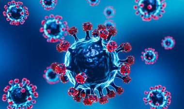 Confirman los primeros dos casos de gripe H3N2 en Córdoba, uno de ellos es de Freyre