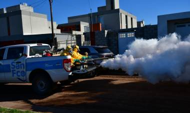 Las políticas sanitarias de prevención generaron un notorio descenso en el número de casos de dengue en San Francisco