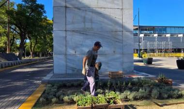 Convenio municipio-servicio penitenciario: renuevan plantas en el Centro Cívico y otros puntos