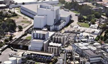 Arcor y Danone anuncian la compra de Mastellone y crean gigante lácteo en Argentina