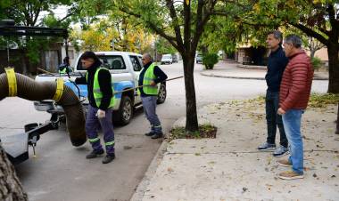 El municipio continúa trabajando en la campaña de recolección de hojas