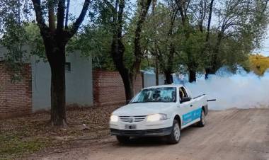 Ante las condiciones climáticas favorables para el mosquito el municipio intensifica la fumigación
