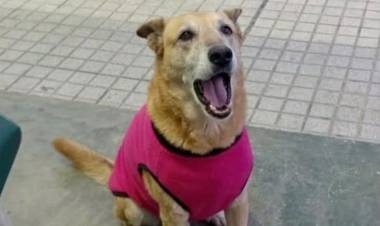 Atrapan en Frontera a la persona que habría ultimado a Tita