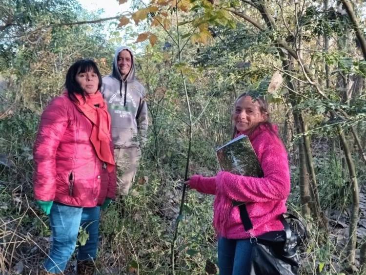 Frontera suma acciones para mejorar el arbolado público de la ciudad