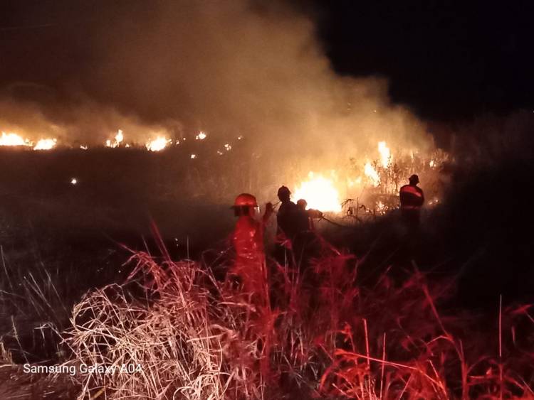 Intensa actividad en tarde de sábado para los bomberos de la ciudad