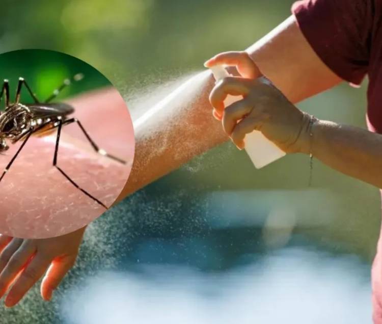 Anmat prohibió el uso y la venta de un repelente para mosquitos