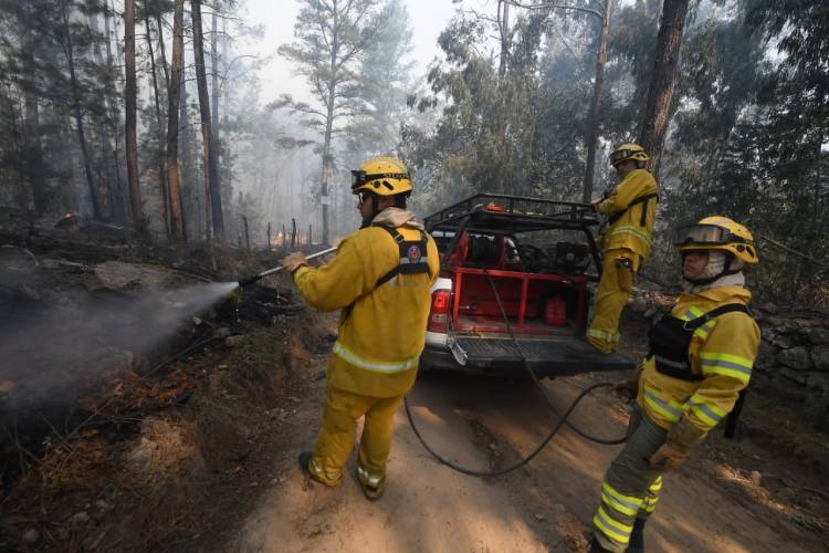 El Durazno: ya son 12.600 las hectáreas quemadas  