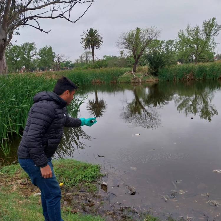 Objetivo dengue: municipio sigue con las intensas tareas preventivas
