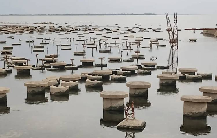 La sequía se acentúa en la laguna Mar Chiquita