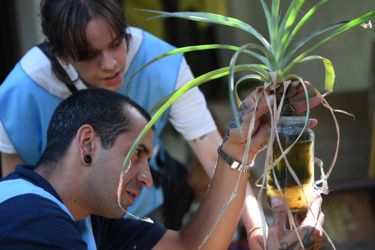 Monitoreo aédico de noviembre: se detectaron larvas de Aedes aegypti en 6 de cada 100 casas visitadas en ciudad de Córdoba 